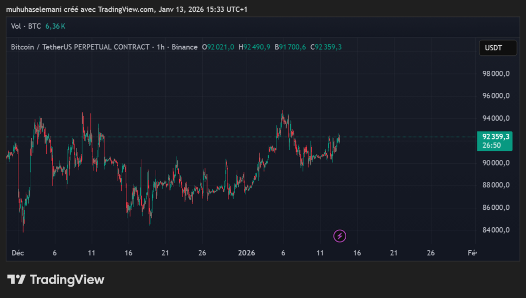 Bitcoins vers 100 000 dollars